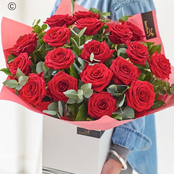 18 Sumptuous Red Roses